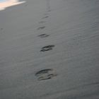 Beach photografy... JogGiN in solitudine...