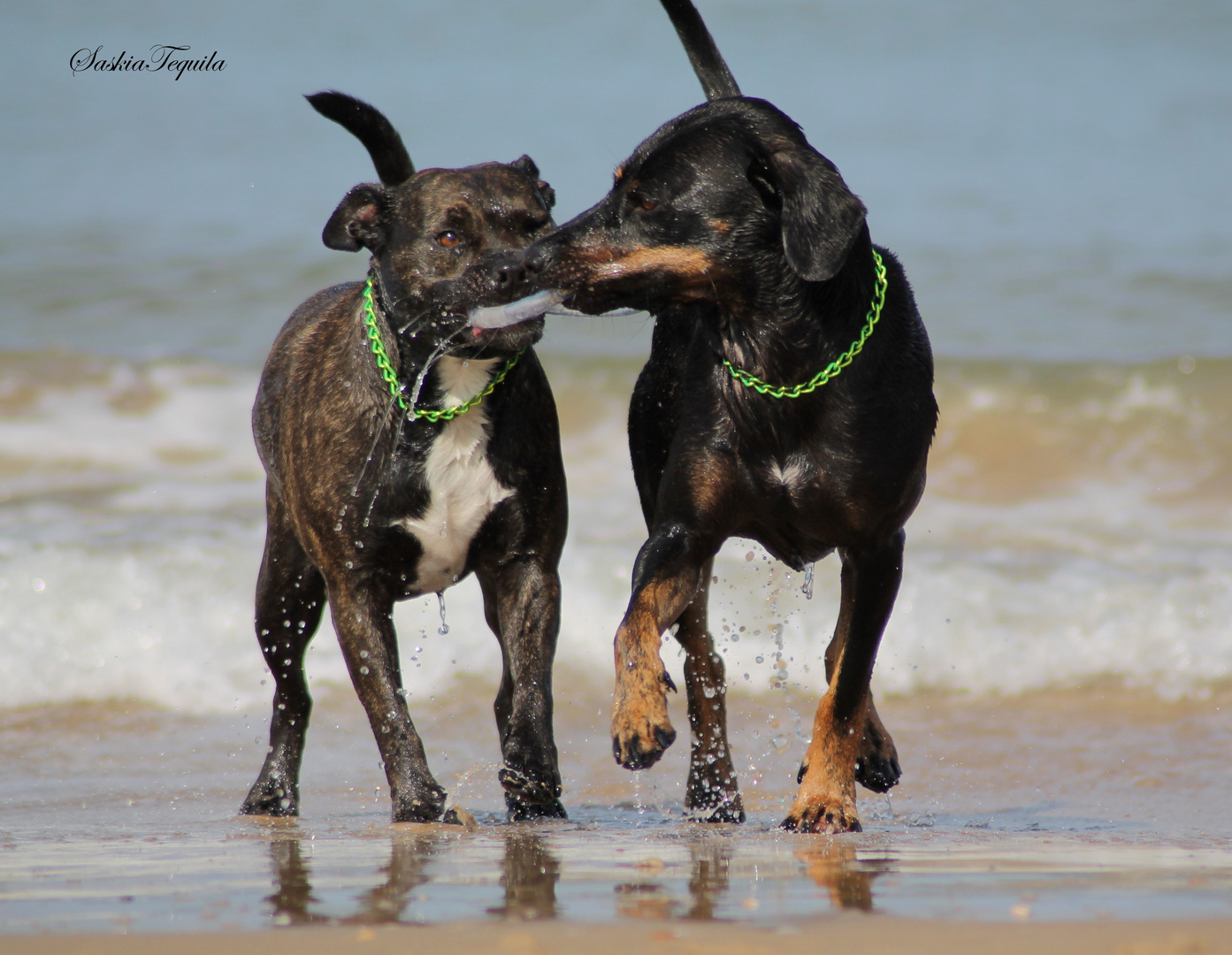 Beach play