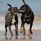 Beach play