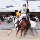 Beach Polo