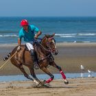 -beach polo  deauville