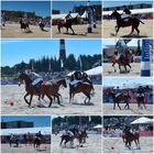 Beach Polo Sylt 2014