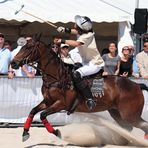 Beach Polo - Sylt (Hörnum)