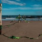 Beach Posts