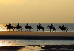 ~ beach riding ~