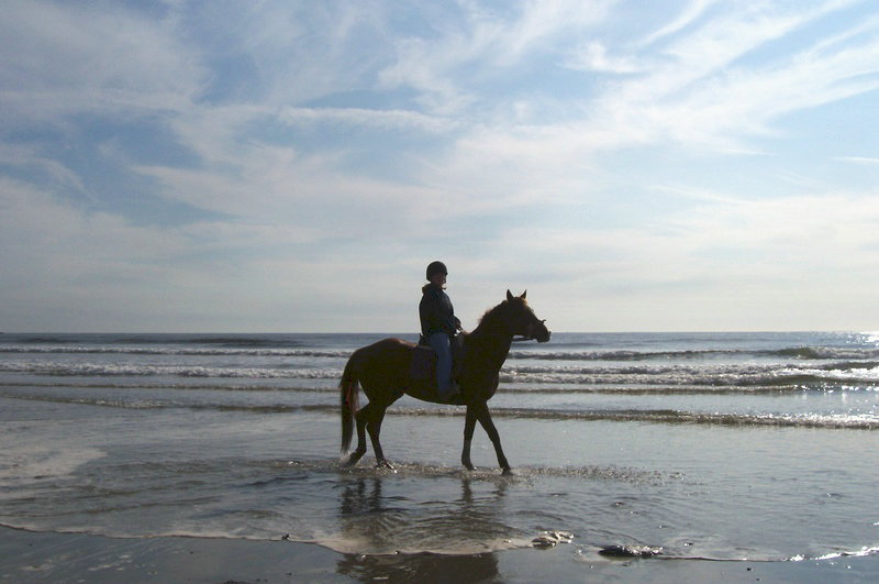 Beach Riding