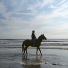 Beach Riding