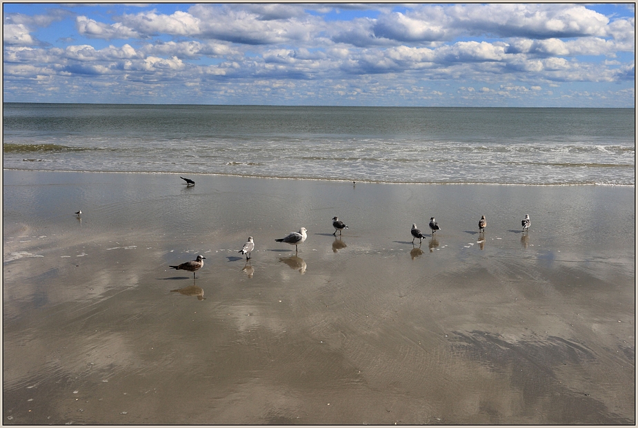 beach runners