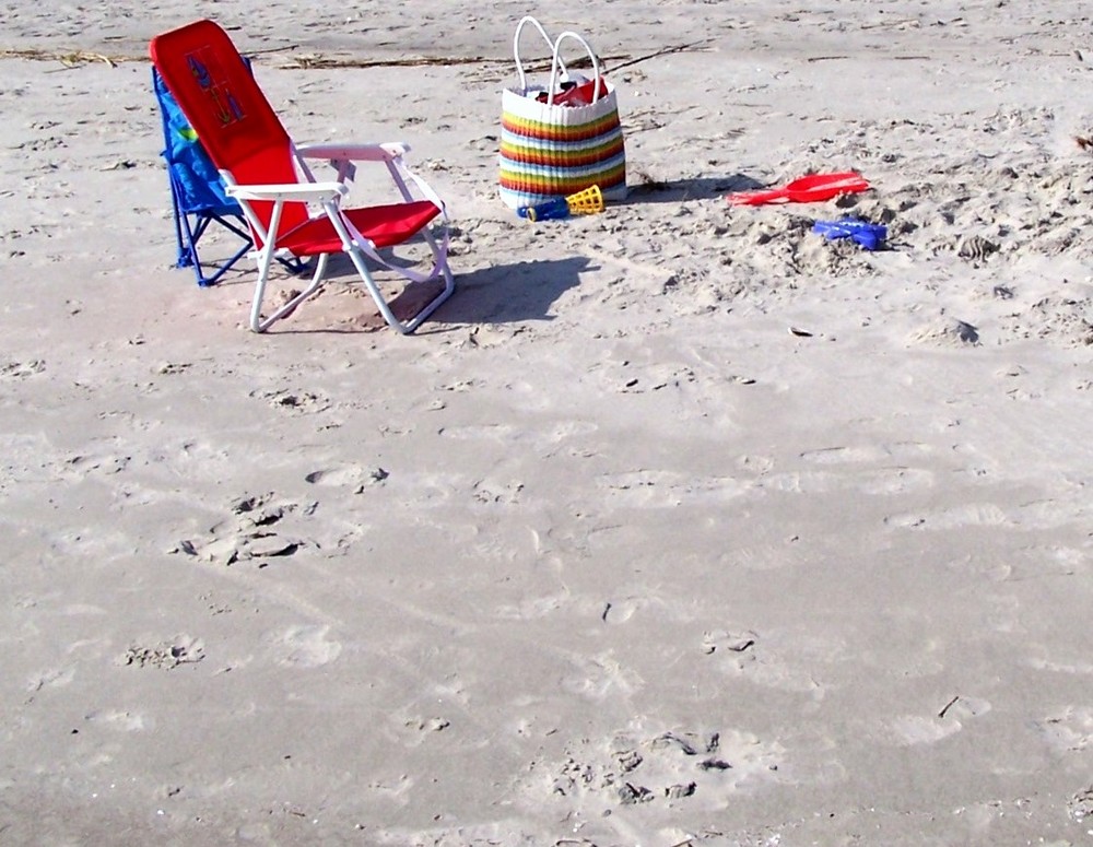 Beach Scene