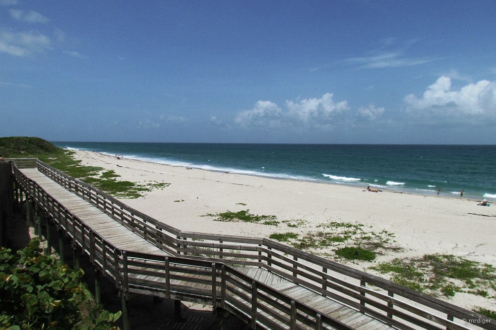 Beach State Park in Palm Beach County/Florida