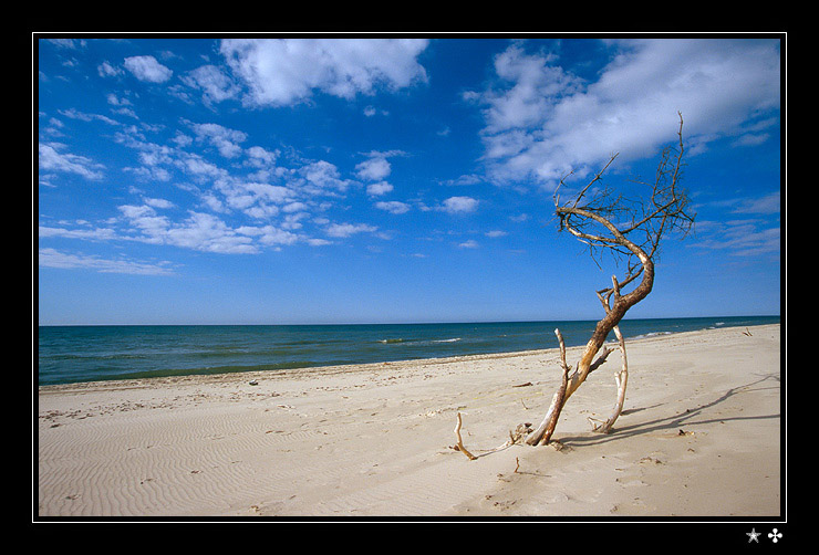 beach story #1