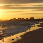 Beach sunset