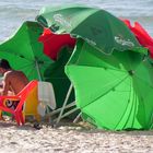 beach umbrella provider