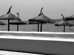 Beach View