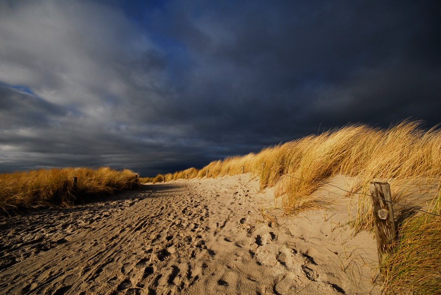 beach view