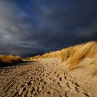 beach view