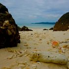 Beach View Ko Phi Phi