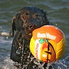 Beach Volley