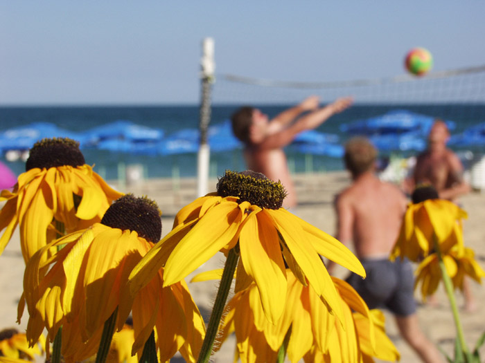 beach volleyball