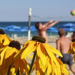 beach volleyball