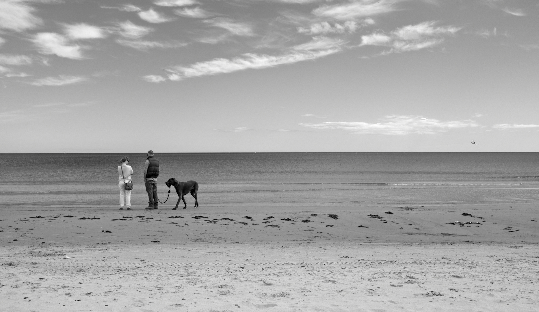 Beach walk