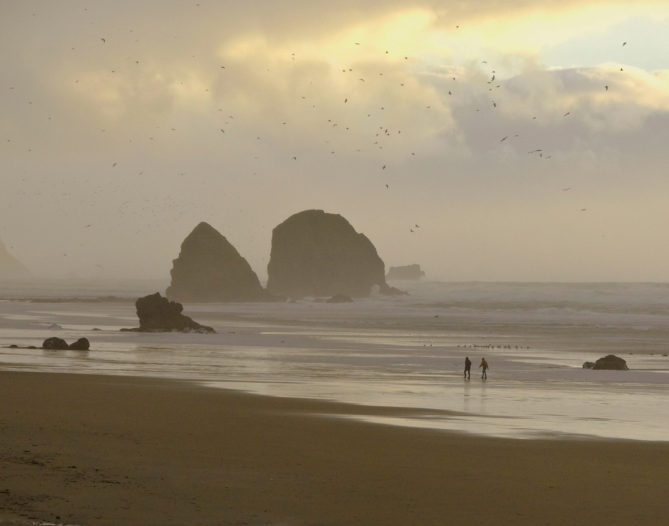 Beach Walk