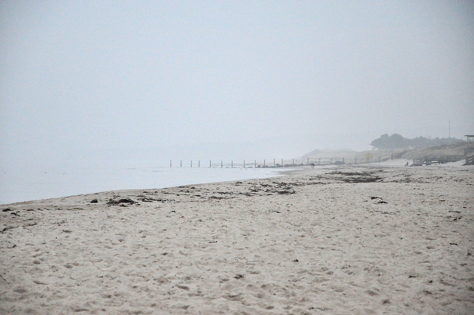 beach walk