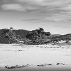 Beach walk