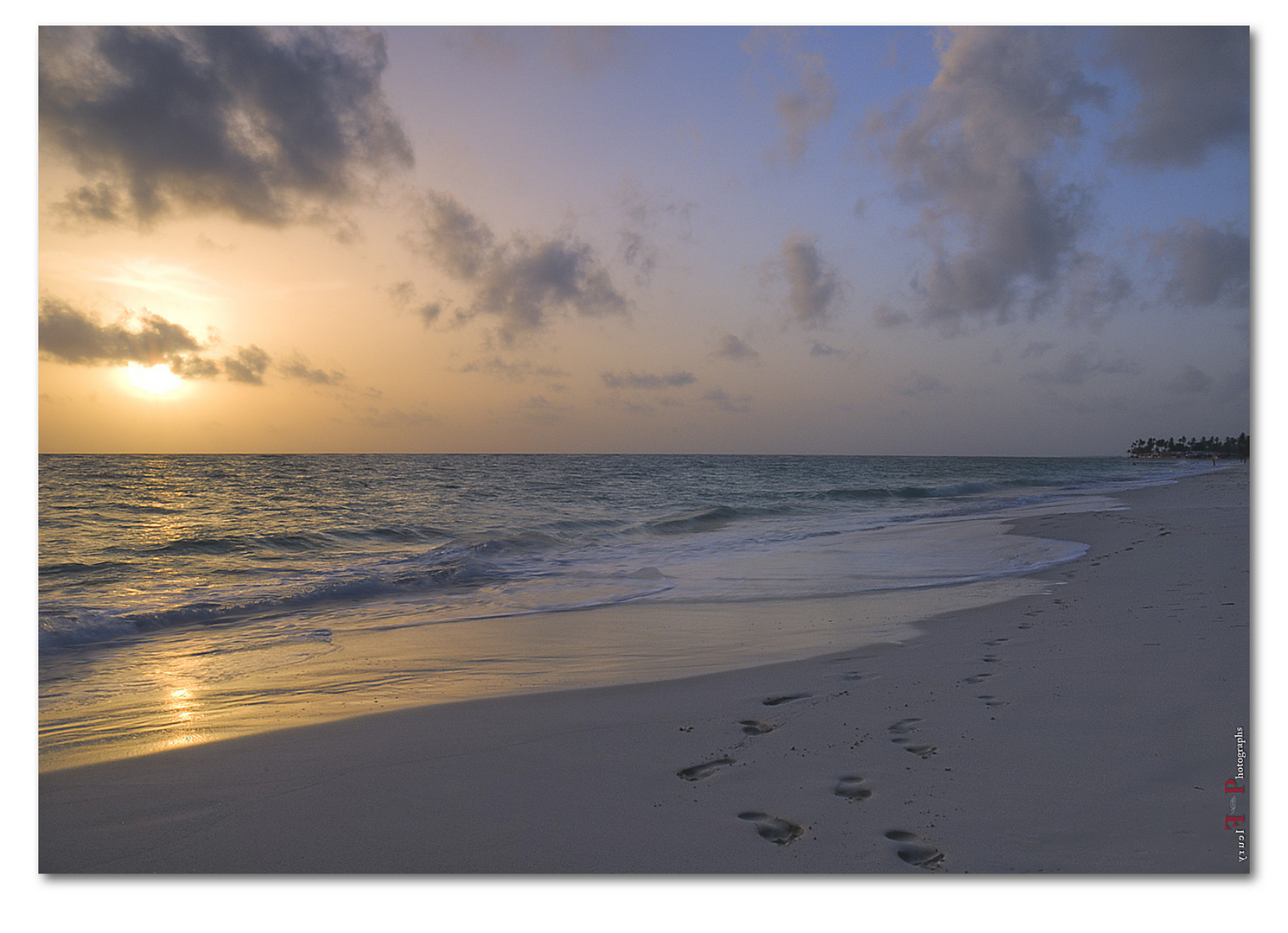 Beach Walk