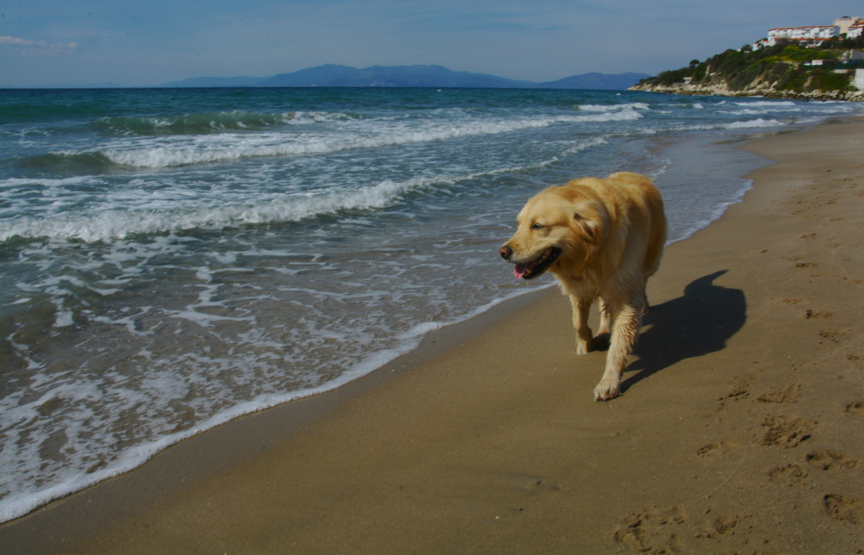 Beach walk