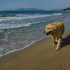 Beach walk