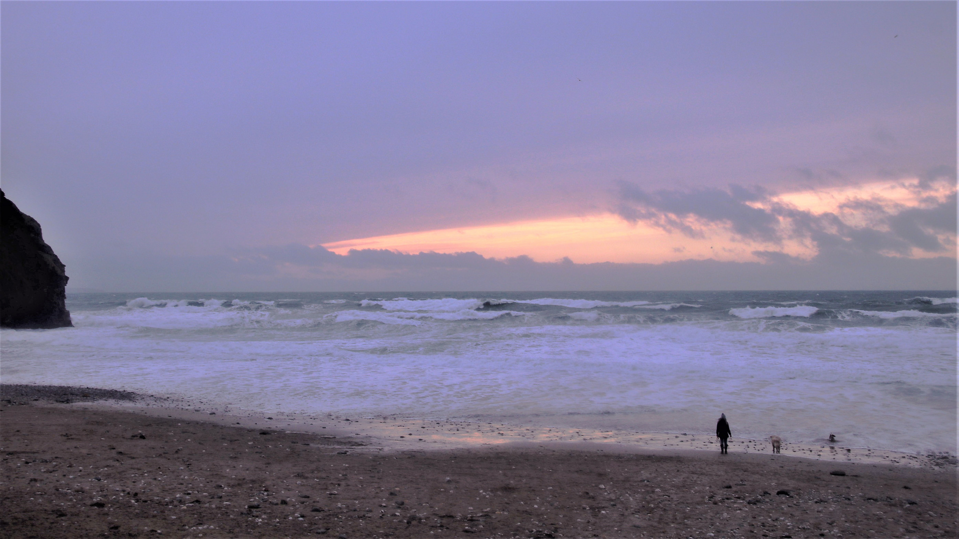 Beach walk with dog