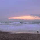 Beach walk with dog