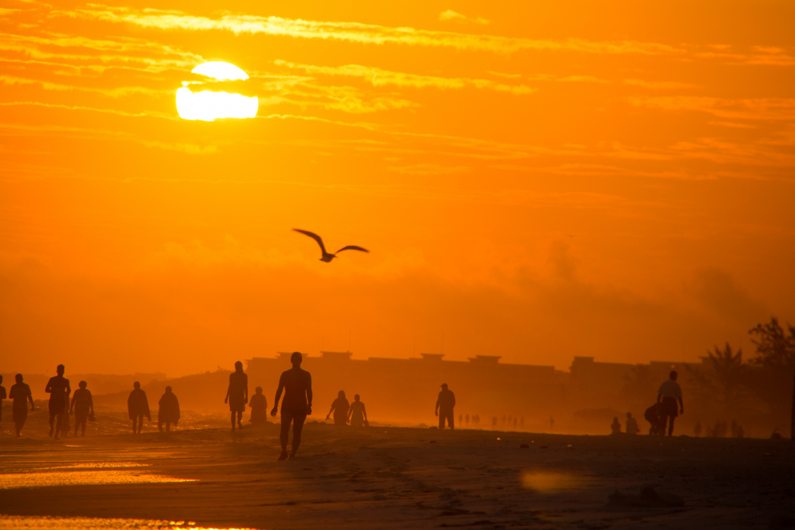 Beach walkers