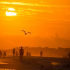 Beach walkers