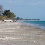 Beach Walking...