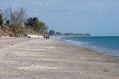 Beach Walking...