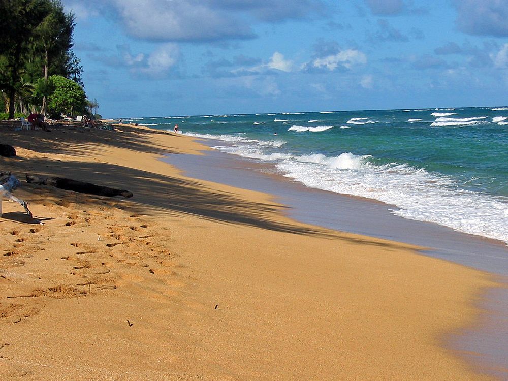 Beach Walks