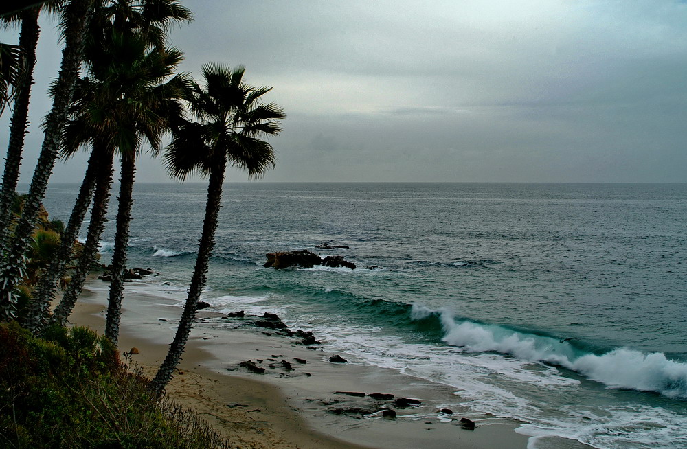 Beach Wave