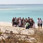 Beach Wedding