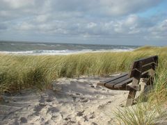 beach with a view