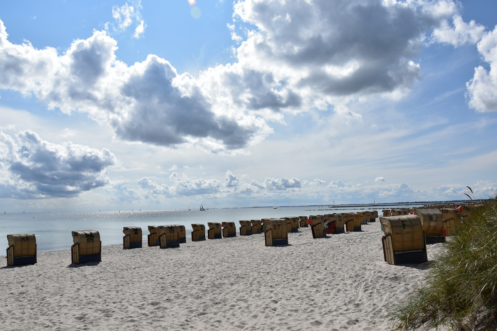 beach with beach chairs