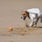 Beachball