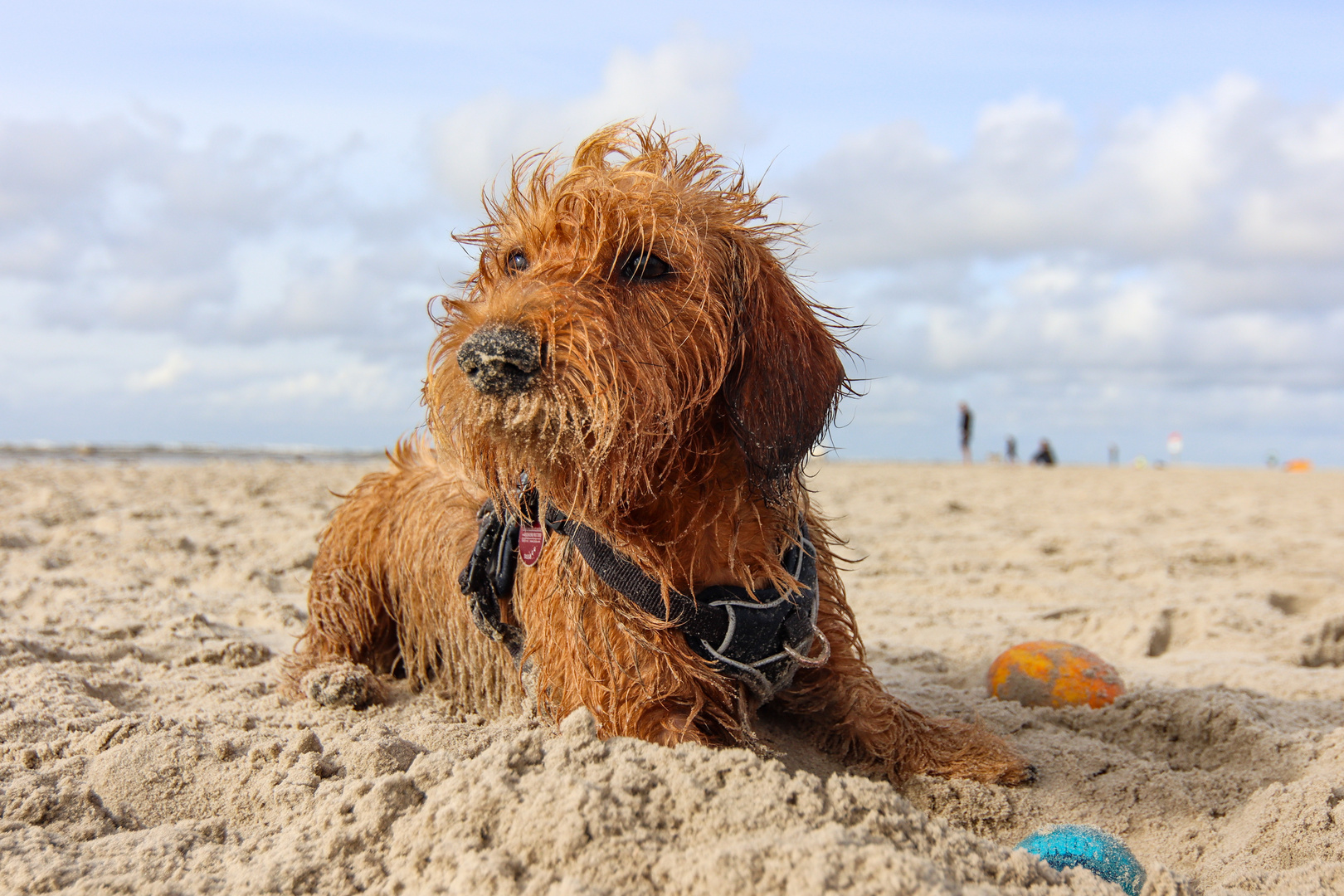 Beachboy