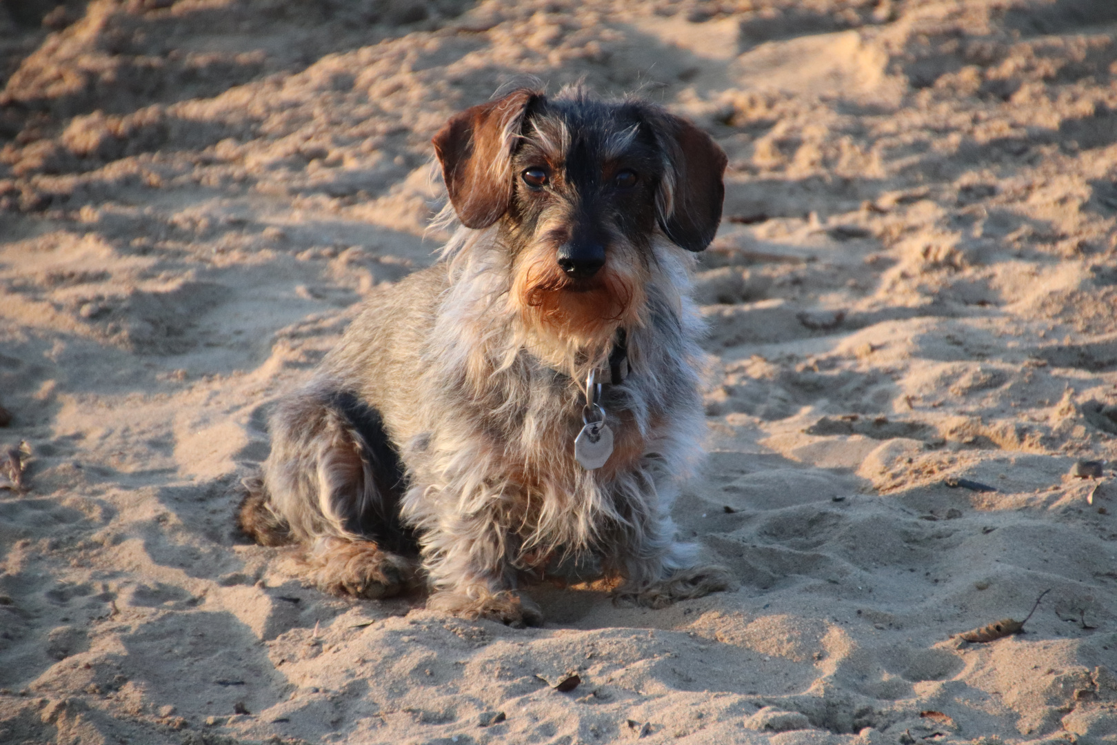 Beachboy.....