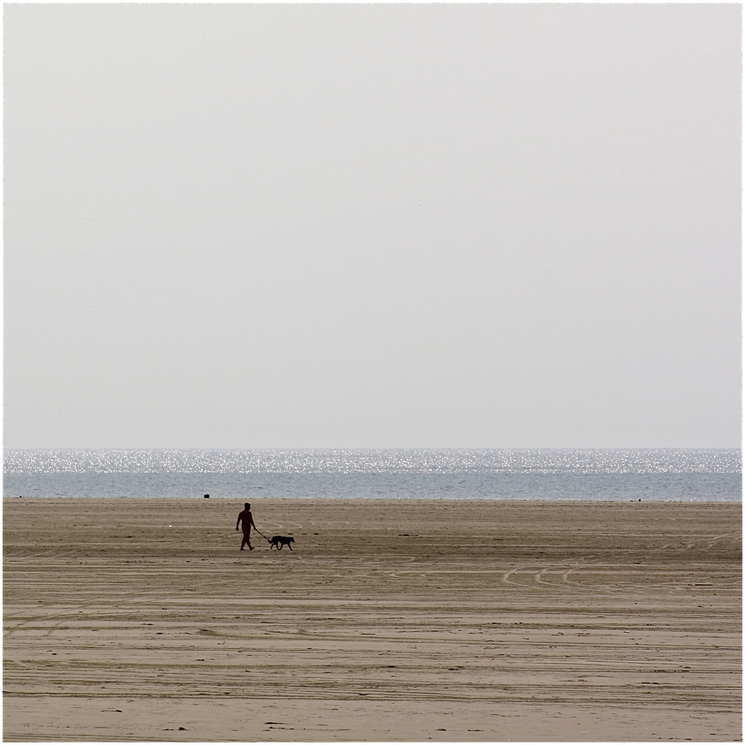 beach.boys