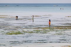 Beaches of Zanzibar 10