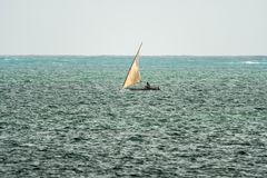 Beaches of Zanzibar 11