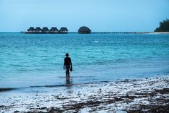 Beaches of Zanzibar 16