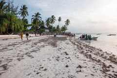 Beaches of Zanzibar 18